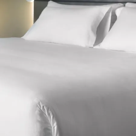 Hotel Nh Palmas Playa Canteras